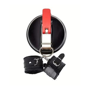 Lisice sa vakumskim držačem